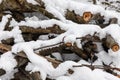 Snow covered firewood. Stack of wood cut. Snow on the timber stack. Wooden log store under snow Royalty Free Stock Photo