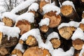 Snow covered firewood. Stack of wood cut. Snow on the timber stack. Wooden log store under snow Royalty Free Stock Photo