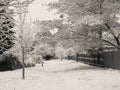 Snow covered foot path Royalty Free Stock Photo