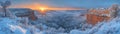 The snow-covered forest comes alive at sunrise, unveiling a breathtaking panoramic view Royalty Free Stock Photo