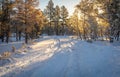 Snow Covered Forest Country Road in Winter Royalty Free Stock Photo