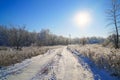 Snow covered forest country road on winter sunny day Royalty Free Stock Photo