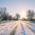 Snow covered forest country road on winter sunny day Royalty Free Stock Photo