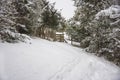 Snow covered woodland track Royalty Free Stock Photo