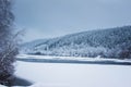 snow covered forest and a frozen lake in cold colours winter outside