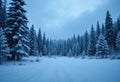 Snow-covered forest landscape with tall evergreen trees at dawn in a tranquil winter setting Royalty Free Stock Photo