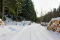 Snow covered forest path along harvested tree trunks in winter forest background Royalty Free Stock Photo