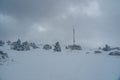 Snow covered forest on top of mountain Ai-Petri after blizzard. Crimea Royalty Free Stock Photo