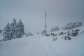 Snow covered forest on top of mountain Ai-Petri after blizzard. Crimea Royalty Free Stock Photo