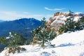 Snow-covered fur-tree against the blue sky Royalty Free Stock Photo