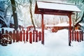 Snow covered gate