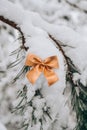 Snow covered Gold tied bow on fir branch on winter snowy background with copy space. Merry Christmas Happy New Year Royalty Free Stock Photo