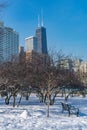 Winter Park Scene with Bench at Jane Addams Memorial Park in Chicago