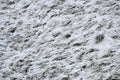 Snow covered ground during blizzard white storm snowflakes falling. The texture of thawed grass under falling snow Royalty Free Stock Photo