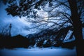 Snow covered the ground in winter. Silhouette of dry trees and f Royalty Free Stock Photo