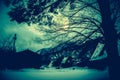 Snow covered the ground in winter. Silhouette of dry trees and f Royalty Free Stock Photo