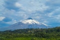 Snow covered hight volcano summit above the forest Royalty Free Stock Photo