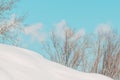 Snow-covered hill with bare tree branches against turquoise winter sky Royalty Free Stock Photo