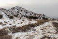 Snow covered hill with brush and barb wire fence in rural New Mexico Royalty Free Stock Photo