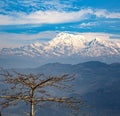 Snow-covered Himalayan mountain range with tree branches in foreground. Royalty Free Stock Photo