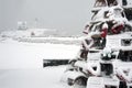 Snow Covered Holiday Lobster Trap Tree by Lighthouse