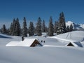 Snow covered huts and trees, Toggenburg