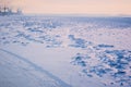 Snow-covered ice of the Amur River on a winter morning. Cranes of the river port in the background.