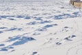 Snow-covered ice surface of the river on a winter day. Traces of people and animals. Light and shade.