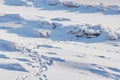 Snow-covered ice surface of the river on a winter day. Traces of people and animals. Light and shade.