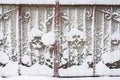 Snow-covered iron gates. winter wrought fence gates