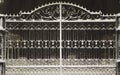 Snow-covered iron gates. winter wrought fence gates