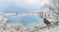 Snow-covered lake shore and a small bird on its shore Royalty Free Stock Photo