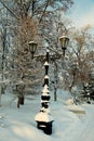 Snow covered lamppost along roadside in winter Park