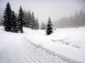 Snow covered landscape Royalty Free Stock Photo