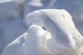 Snow covered landscape in cold winter with frosty and frozen snowbanks show the icy side of winter in January and February as tour