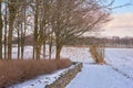 A snow covered landscape in winter on a sustainable and organic farm. A stone wall and trees growing during the cold Royalty Free Stock Photo