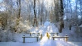 Snow-covered little river. Wooden bridge in the snow.