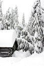 Snow Covered Log Cabin in the Woods