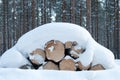 Snow covered log pile Royalty Free Stock Photo