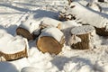 snow covered logs for lighting