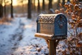 Snow-covered mailbox on a country road - stock photography concepts