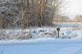 Snow covered mailbox on rural road on winter morning Royalty Free Stock Photo