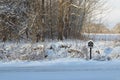 Snow covered mailbox on rural road on winter morning Royalty Free Stock Photo