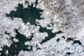 Snow-covered marshlands area in winter. aerial top view