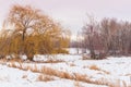 Snow covered meadow and willow tree at sunset Royalty Free Stock Photo