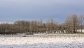 Snow covered meadows with trees in the Flemish countryside