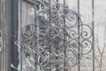 Snow-covered metal fence