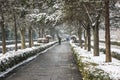 Snow covered Ming tomb deity path Royalty Free Stock Photo