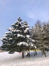 Snow-covered mini park after a snowfall. Beautiful winter landscape. View of snow-covered ground. Royalty Free Stock Photo