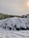 Snow-covered mini park after a snowfall. Beautiful winter landscape. View of snow-covered ground. Royalty Free Stock Photo